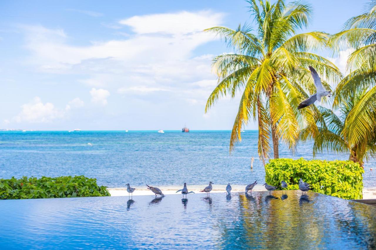 Naima Luxury Beachfront (adults Only) Aparthotel Cancún